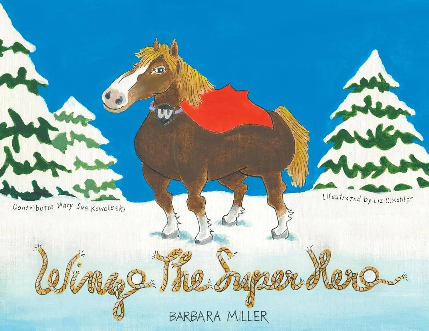 Wingo the Superhero - Bridle Up Hope Shop