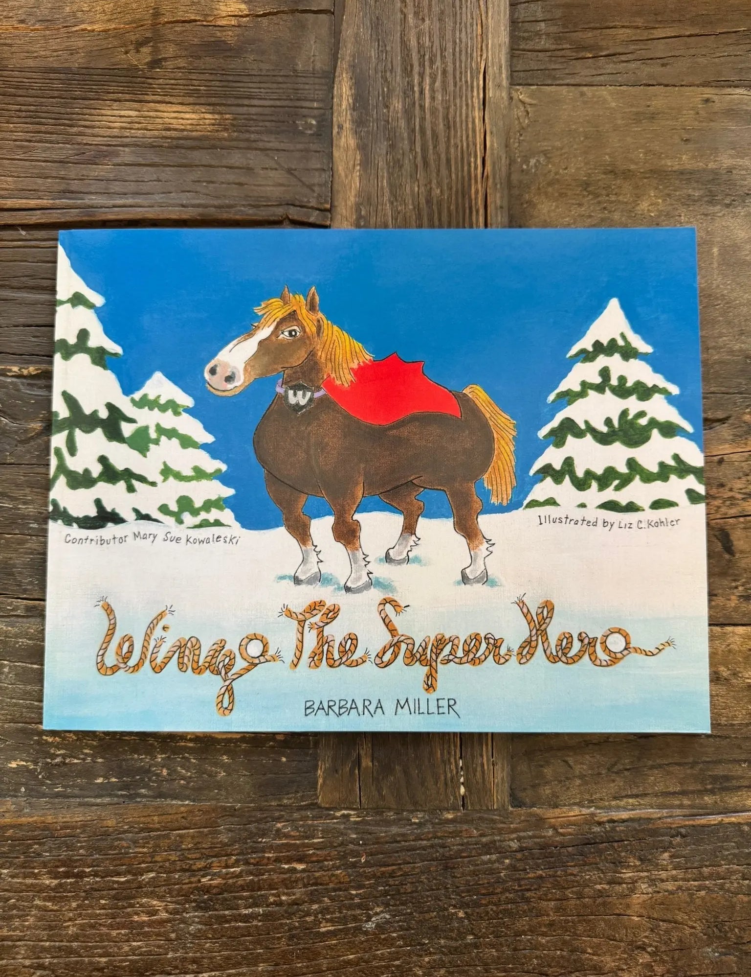 Wingo the Superhero - Bridle Up Hope Shop
