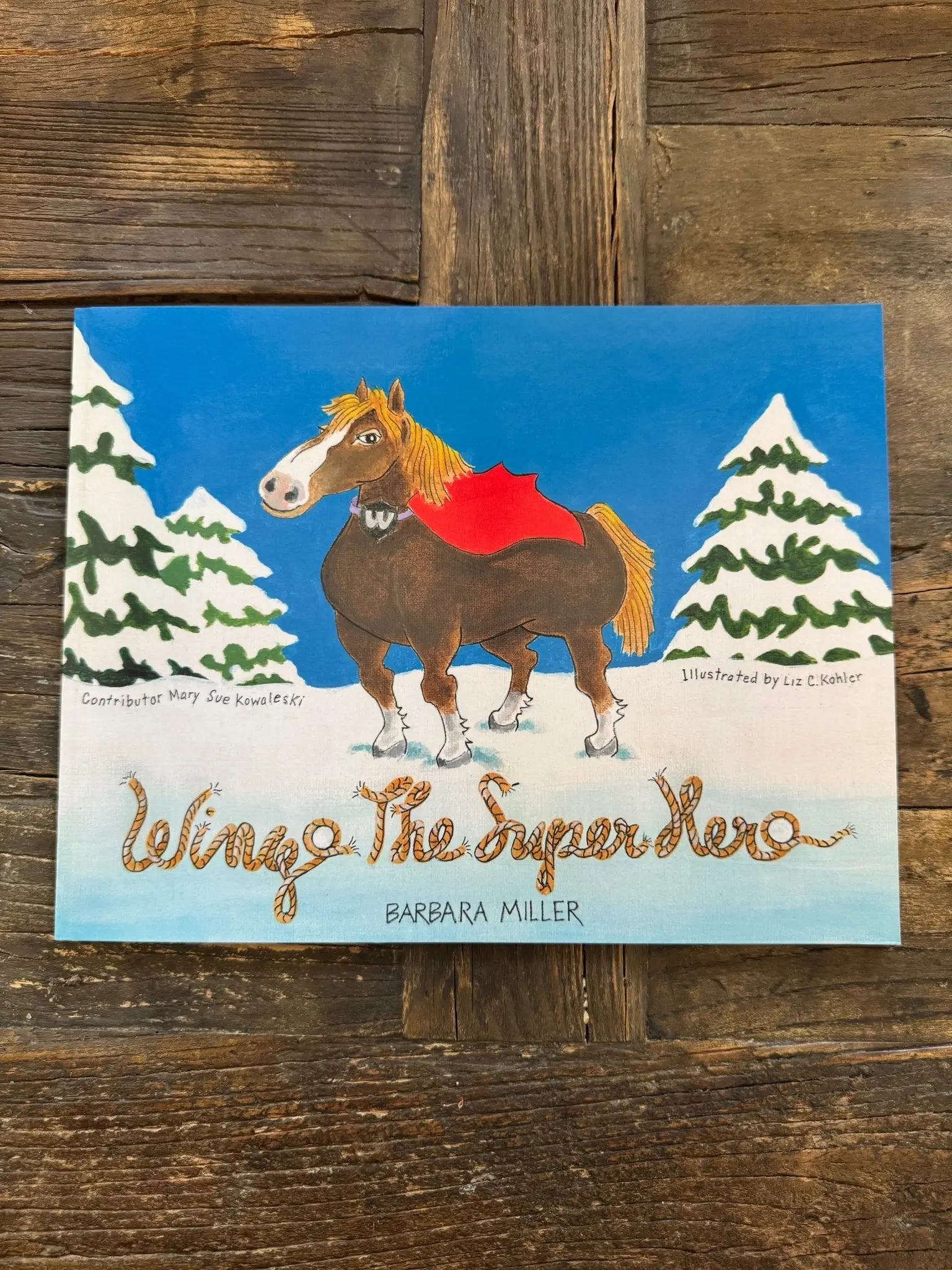 Wingo the Superhero - Bridle Up Hope Shop