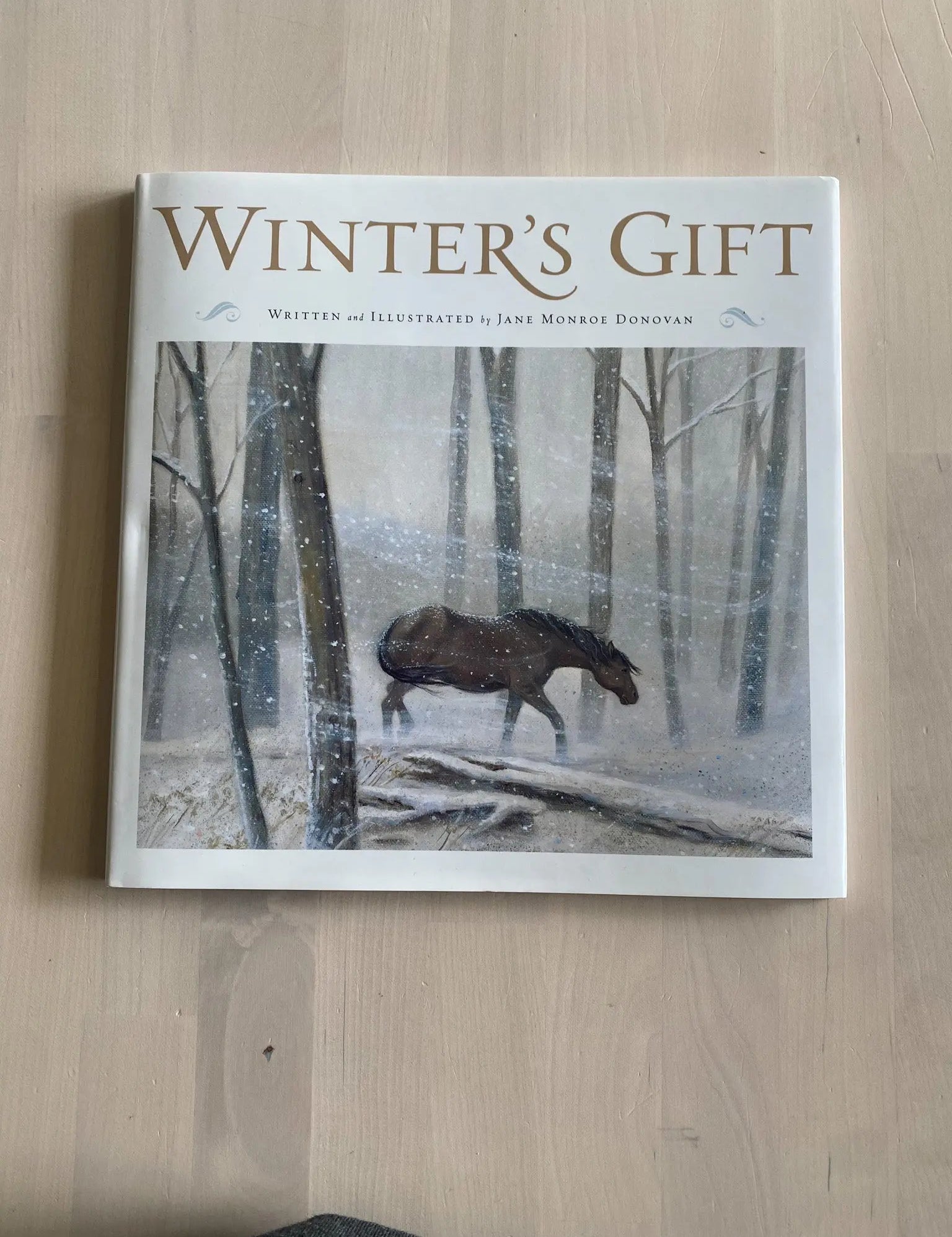 Winter's Gift - Bridle Up Hope Shop