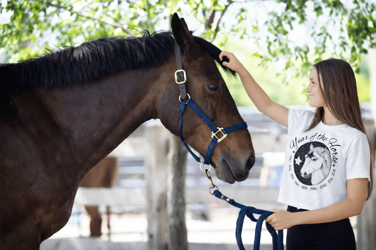Year of the Horse Cropped T-Shirt - Bridle Up Hope Shop