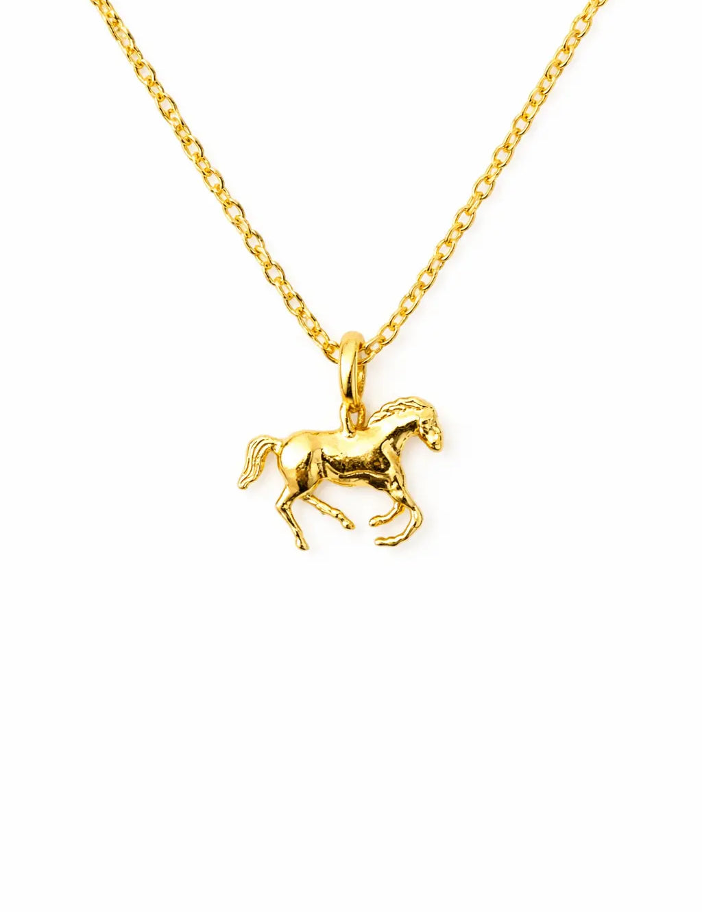 Year of the Horse Necklace - Bridle Up Hope Shop