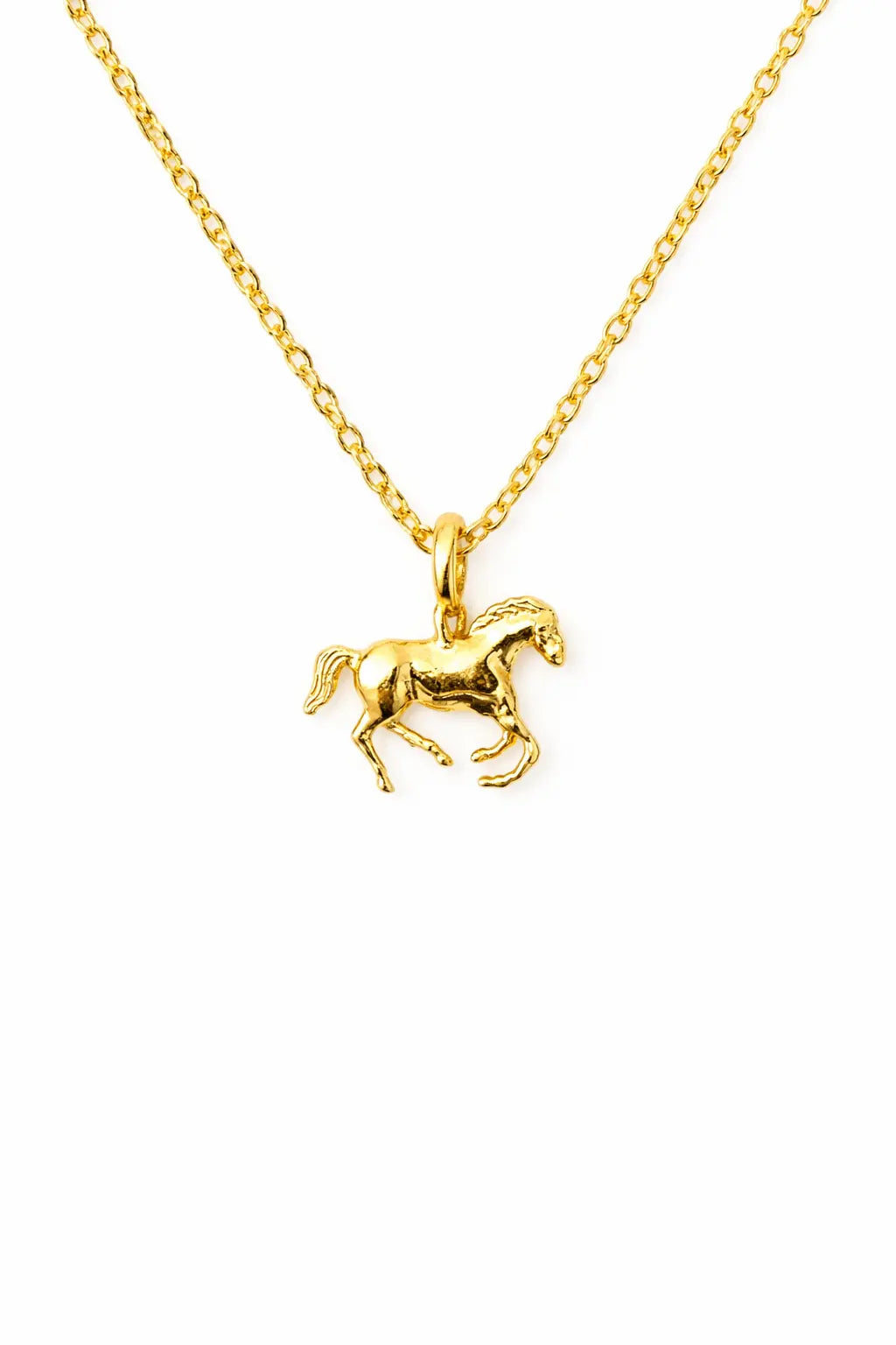 Year of the Horse Necklace - Bridle Up Hope Shop