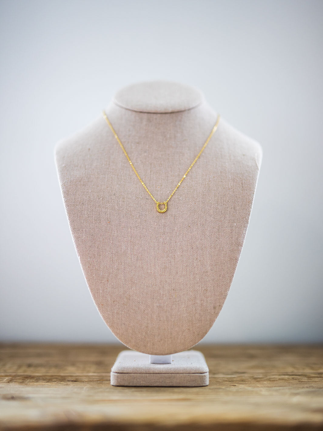 lucky horseshoe necklace