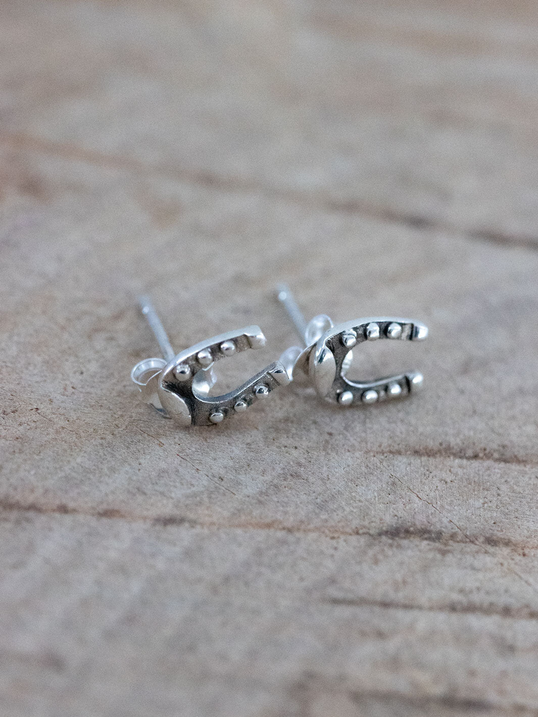 horseshoe charm earrings