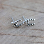 horseshoe charm earrings