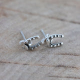 horseshoe charm earrings