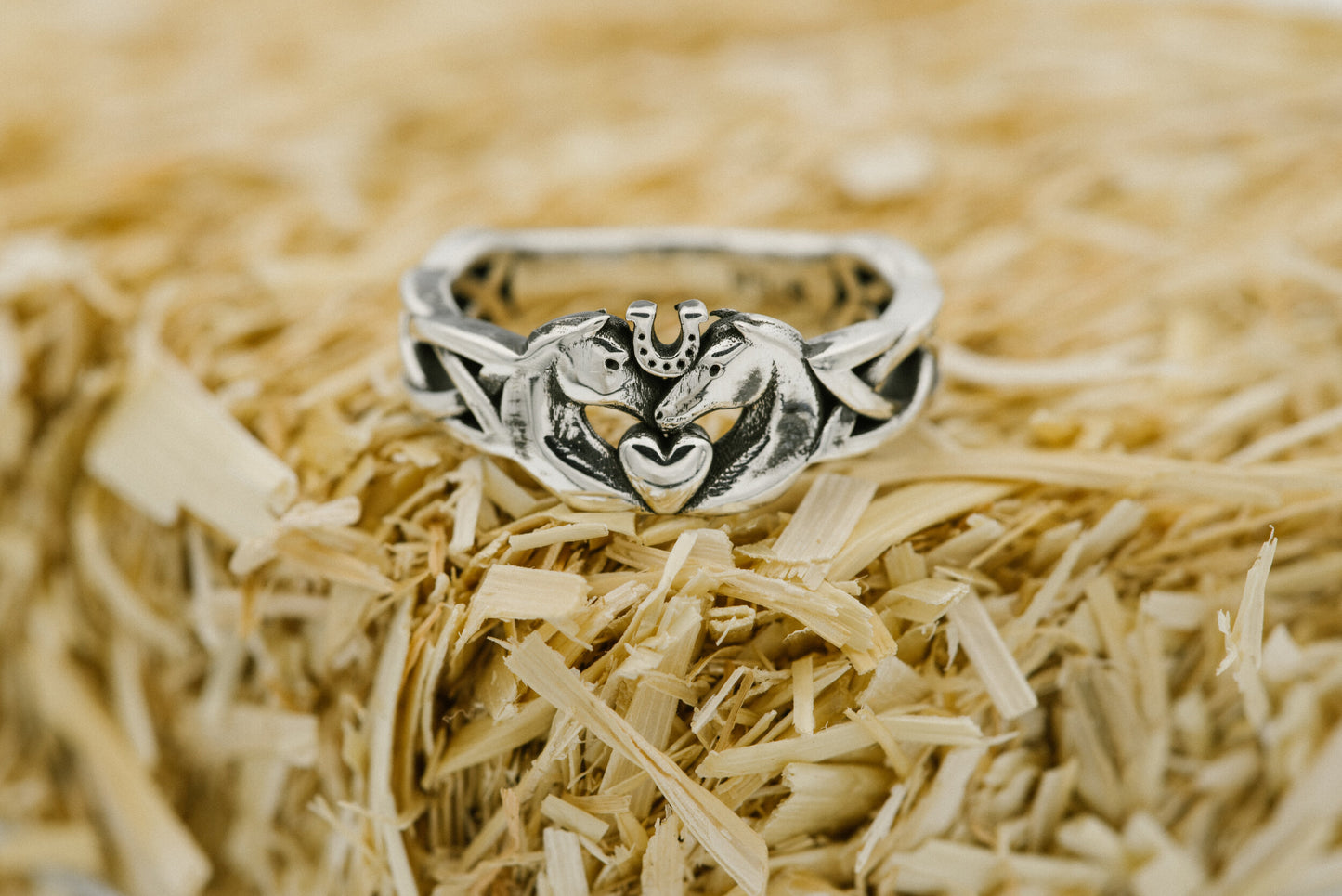 bridle up hope ring